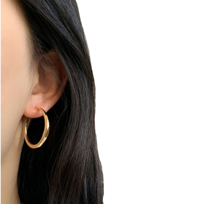 Wholesale Earrings Earrings Cold Style Elegant Elegant Earrings for Women Ins