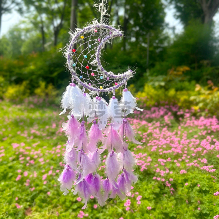 Wholesale Feather Dreamcatcher Wall Hanging Decorative Accent MOQ≥2