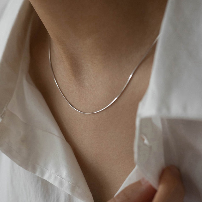 Wholesale Minimally designed snake bone chain, titanium steel necklace, plain chain, niche design, collarbone chain accessories