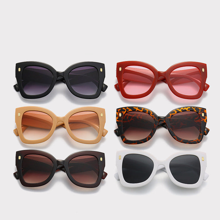 Wholesale  modern sunglasses  model square sunglasses Female