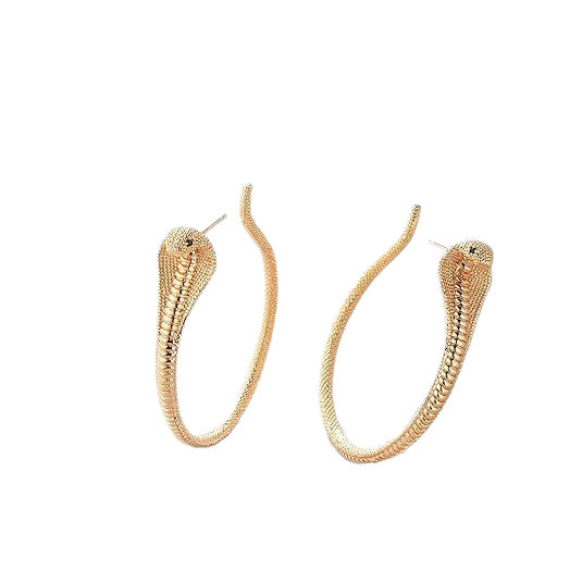Wholesale New retro exaggerated cobra earrings punk simple and fashionable snake shaped earrings