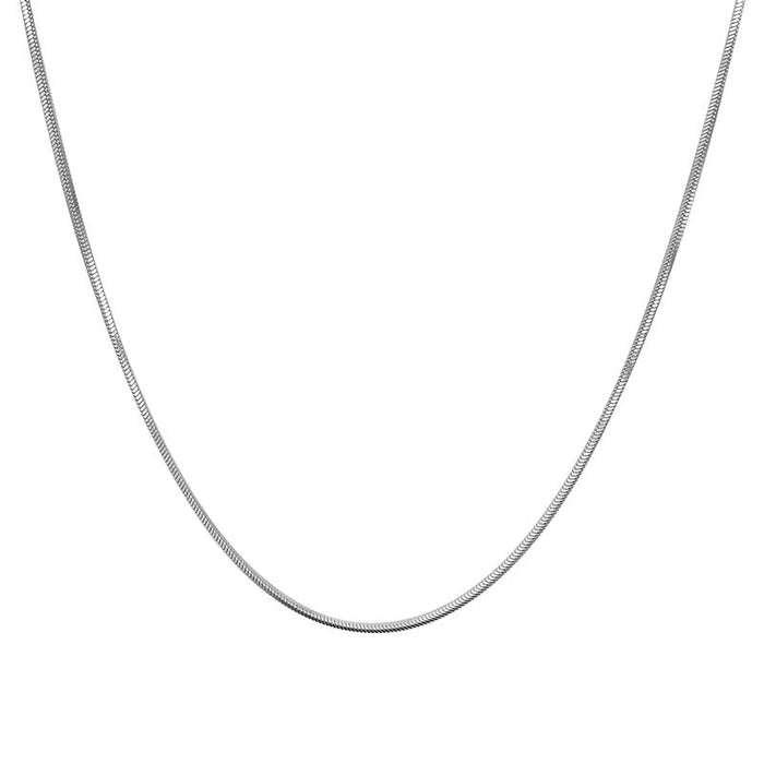 Wholesale Minimally designed snake bone chain, titanium steel necklace, plain chain, niche design, collarbone chain accessories