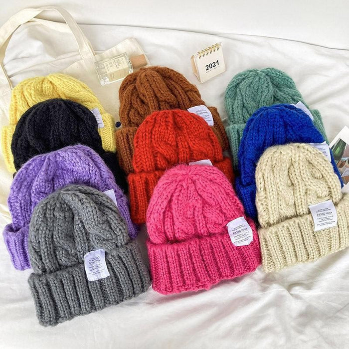 Wholesale Women's Knitted Hat Winter Thickened Fashion Warm Twist All-match Ear Protection Wool Hat Piled