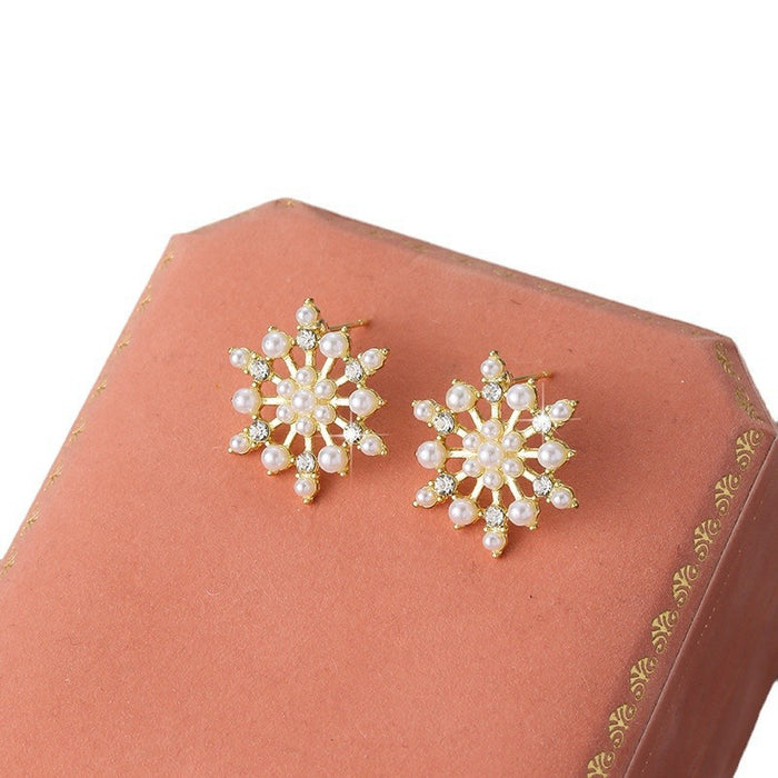 Wholesale Silver needle temperament snowflake earrings earrings, niche high-end earrings