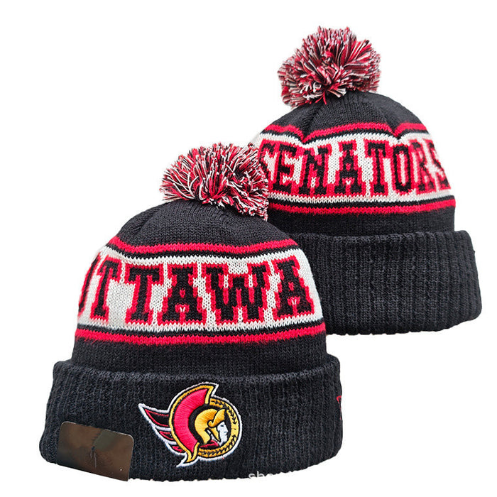 Wholesale Autumn and winter warm and cold-proof embroidered knitted fashionhat