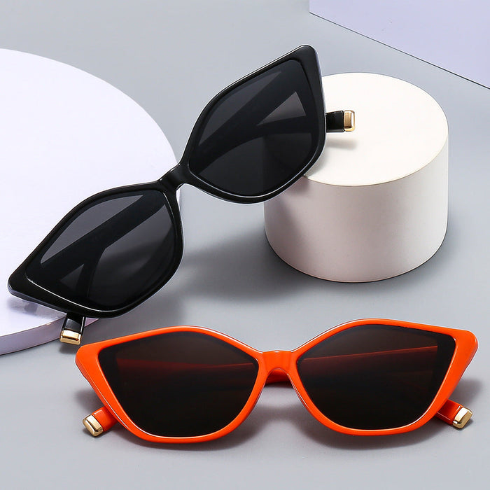 Wholesale 2023 Retro Cat Eye Shape PC Sunglasses JDC-SG-ZhuoM001