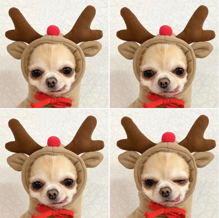 Wholesale Dog Clothes Transformed into Dog and Cat Clothes for Small and Medium-Sized Dogs Pet Supplies,   French Bulldog Cat Clothing