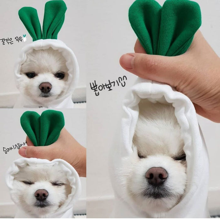 Wholesale Dog Clothes Transformed into Dog and Cat Clothes for Small and Medium-Sized Dogs Pet Supplies,   French Bulldog Cat Clothing