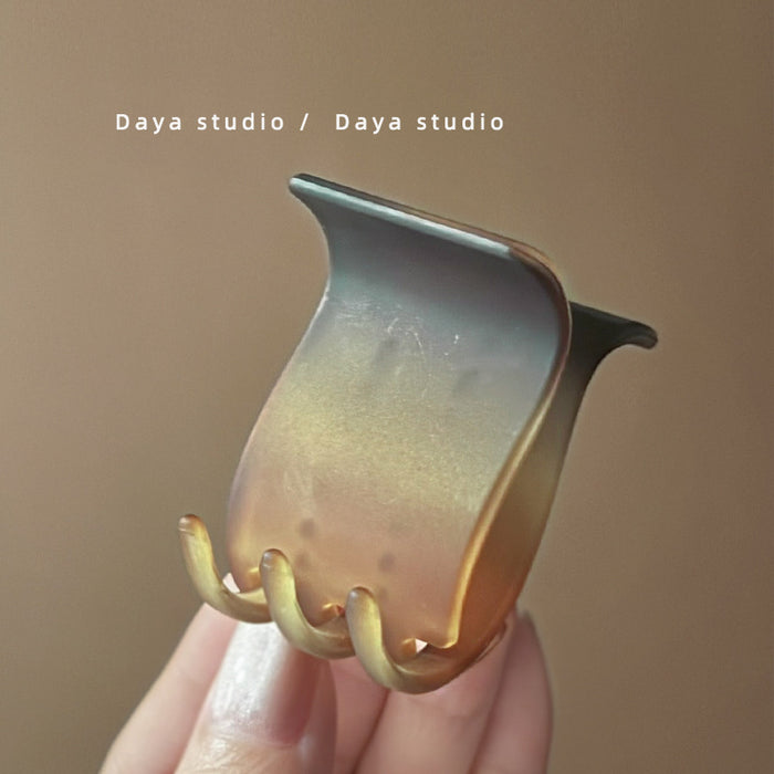 Wholesale Advanced matte gradient ponytail clip, niche temperament shark clip