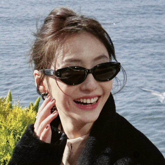 Wholesale New retro cat-eye sunglasses for women, fashionable and high-end street style sunglasses for small faces