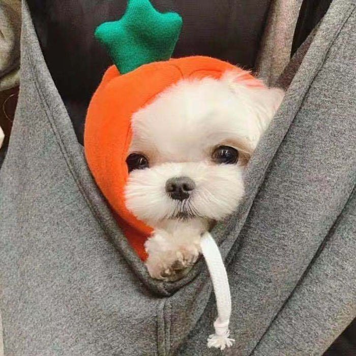Wholesale Dog Clothes Transformed into Dog and Cat Clothes for Small and Medium-Sized Dogs Pet Supplies,   French Bulldog Cat Clothing