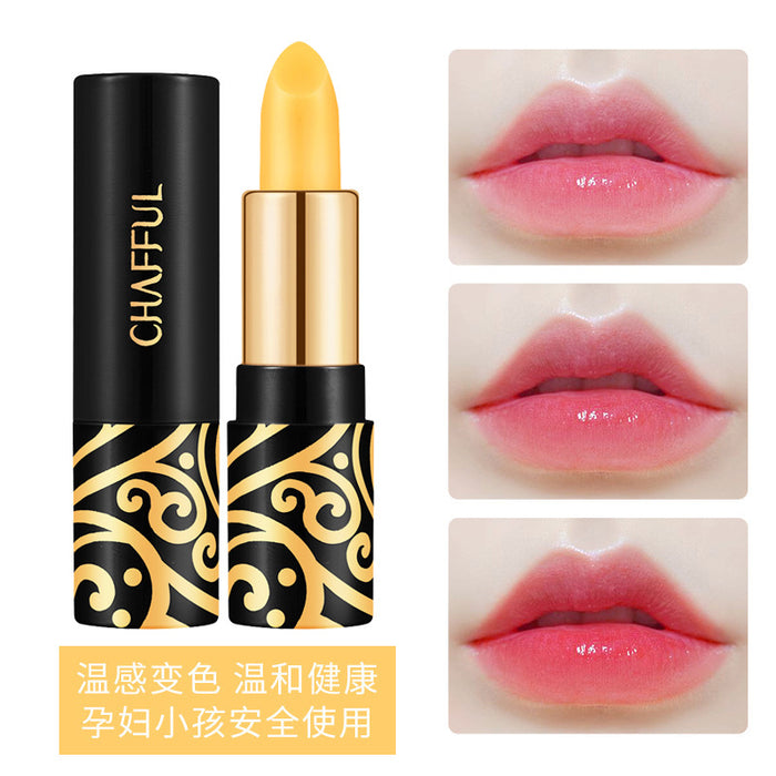 Wholesale Cherry Lipstick Lipstick Does Not Stain Cup Color Thousands of People Thousands of Colors Moisturizing and Moisturizing JDC-LP-SN001