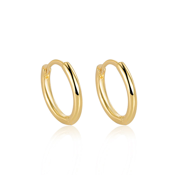 Wholesale Earrings with gold plating, niche high-end earrings, ear buckles, fashionable and simple temperament earrings