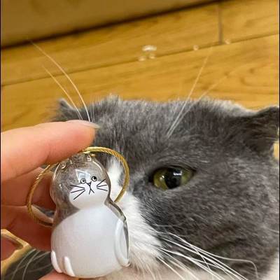 Wholesale High-Value Fur Ball Pendant Pet Hair Storage Cat Transparent Shell Keychain