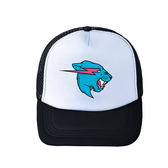 Wholesale Cute Cartoon Acrylic Baseball Cap JDC-FH-WuDM005