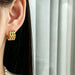 dxx-img:23aa0344b865c6d243a259852ac4f597