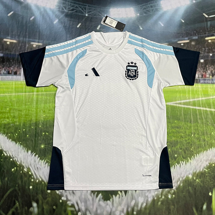 Wholesale Trendy Argentina World Cup Football Jersey # 10 Summer Polyester
