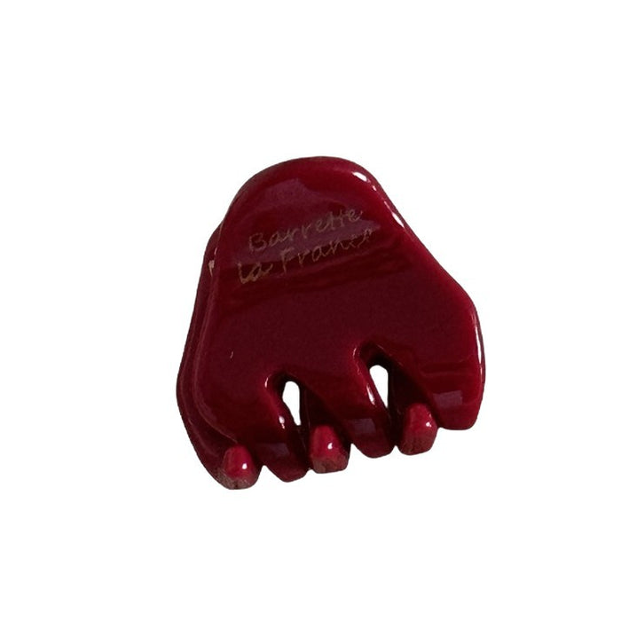 Wholesale Gold Label Cute Small Hair Clip Acetate Hairpin
