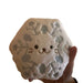 dxx-img:4d985bc521ba9409c4e78712cd169abe