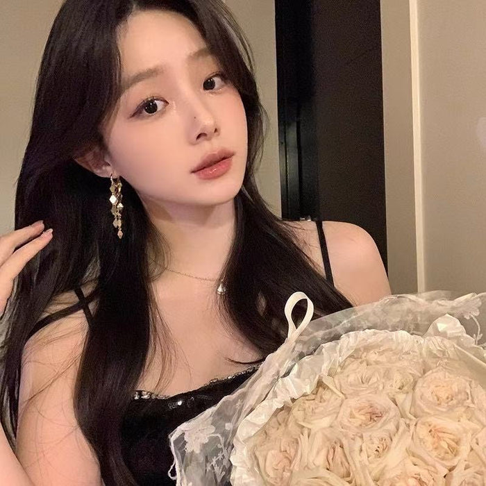 Wholesale High end geometric tassel earrings, niche, light luxury, ear buckle earrings, niche, exquisite