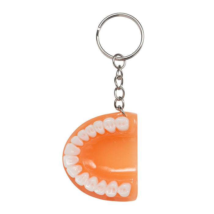 Wholesale Mini Resin Tooth Keychain JDC-KC-KangX002