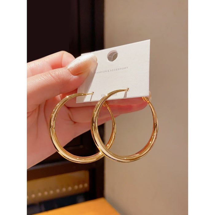 Wholesale Circle Earrings Women's Exaggerated Simple Cold Wind Earrings Niche