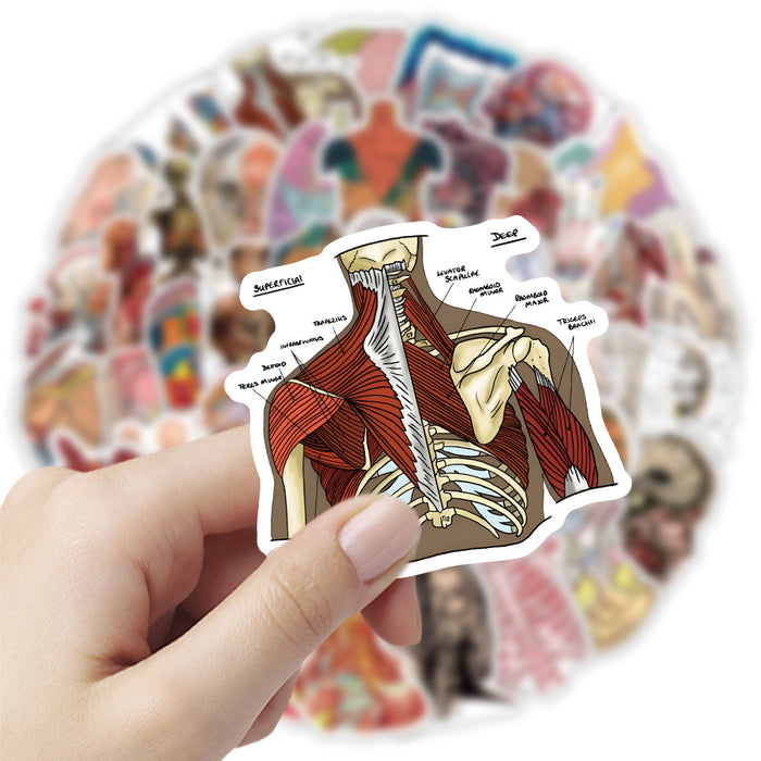Wholesale Human Anatomy Stickers  Laboratory Neuron Graffiti Stickers