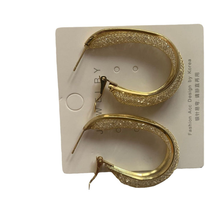 Wholesale rismatic clip net earrings micro inlay women's earrings independent packaging can be a generation of hair