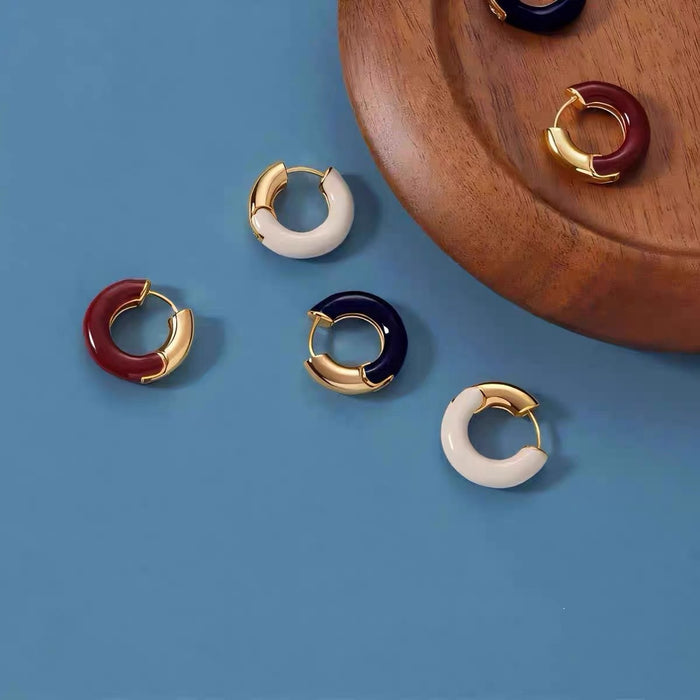 Wholesale French earrings, light luxury birthday gift, silver ear rings, and simple ear accessories
