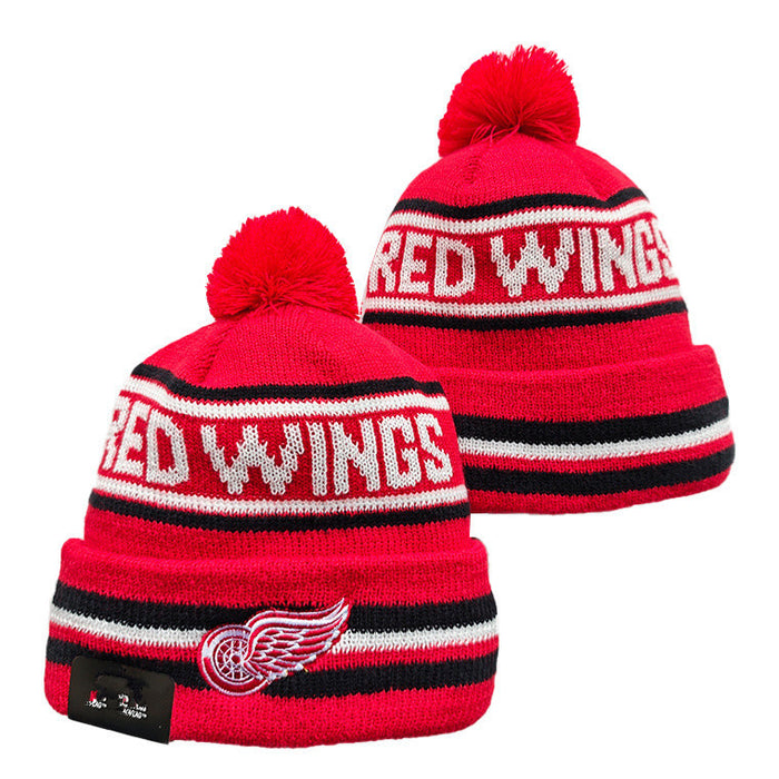 Wholesale Autumn and winter warm and cold-proof embroidered knitted fashionhat