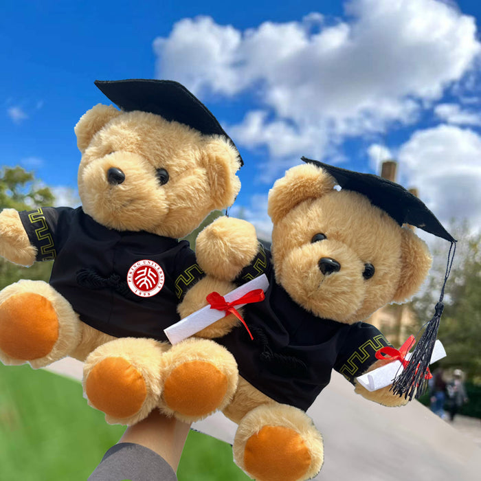 Wholesale Graduation Bear Doll Bachelor's Suit Doll Master Doll Doctor School Uniform College Student Gift Printing Logo JDC-DO-MW006