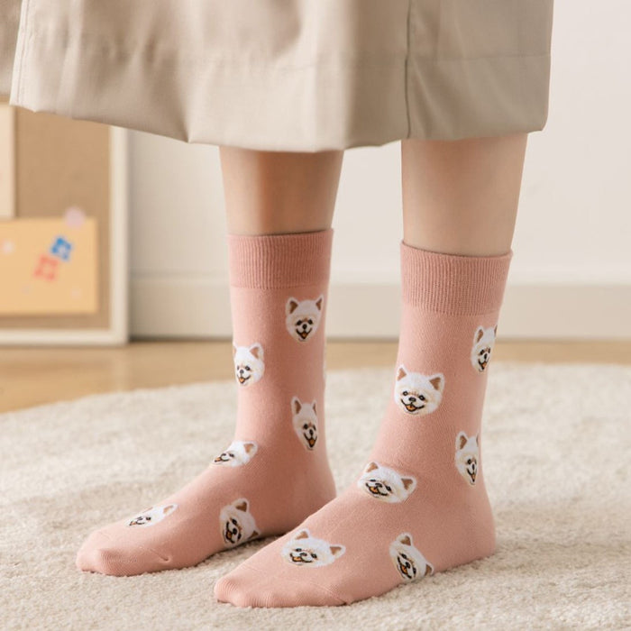 Wholesale New season cute cotton socks cartoon