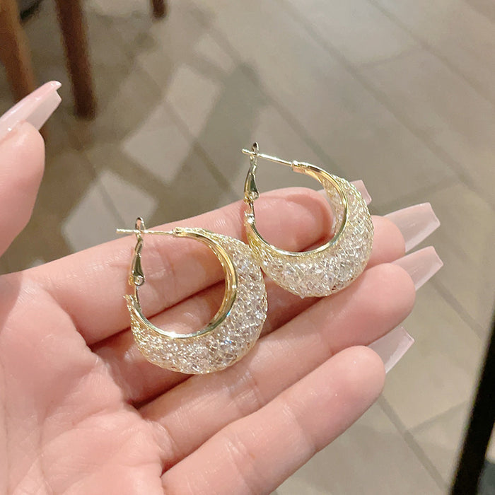 Wholesale Exquisite mesh zircon earrings, light luxury, high-end, niche, high-end design, earring earrings