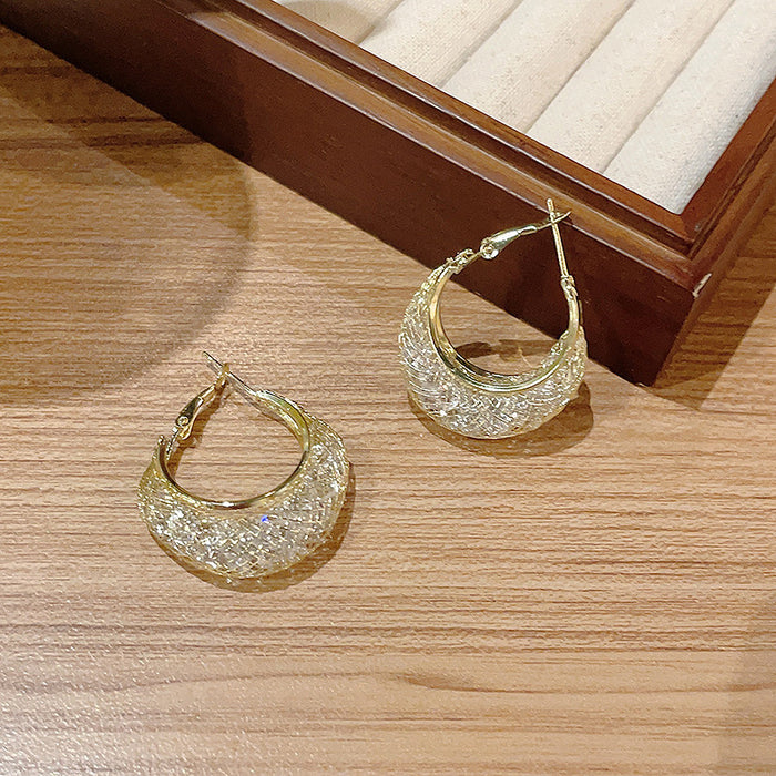 Wholesale Exquisite mesh zircon earrings, light luxury, high-end, niche, high-end design, earring earrings