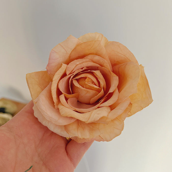 Wholesale Rose Hair Clip JDC-HC-MIs007