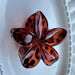 dxx-img:7a2056aeb41e8ca90960d7d182249fc5,JDC-HC-5595519688081-M1