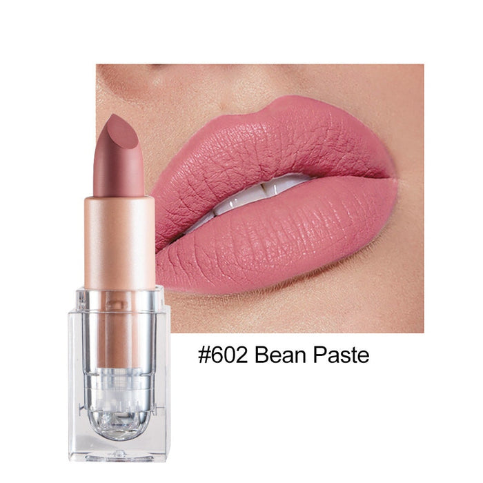 Wholesale small ice matte 12 color lipstick is not easy to decolorize JDC-MK-HDY003 lipstick 韩黛妍 602# Wholesale Jewelry JoyasDeChina Joyas De China