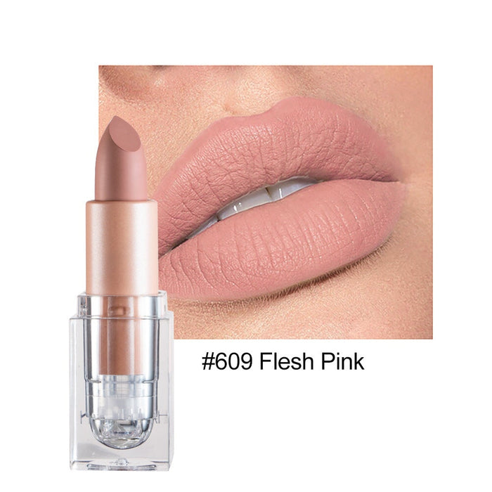 Wholesale small ice matte 12 color lipstick is not easy to decolorize JDC-MK-HDY003 lipstick 韩黛妍 609# Wholesale Jewelry JoyasDeChina Joyas De China