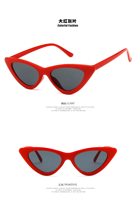 Wholesale Small Frame Cat Eye Sunglasses JDC-SG-KD155