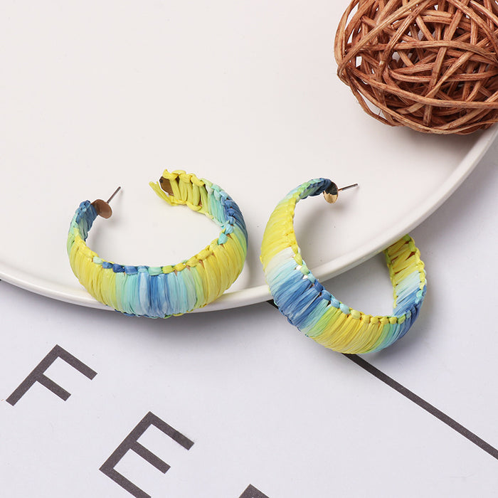 Wholesale raffia earrings personality acrylic JDC-ES-jj407