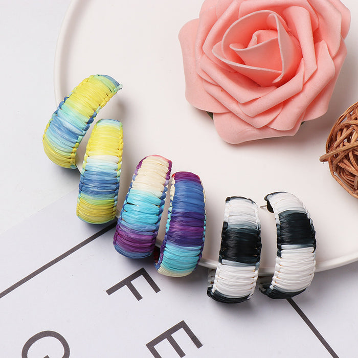 Wholesale raffia earrings personality acrylic JDC-ES-jj407