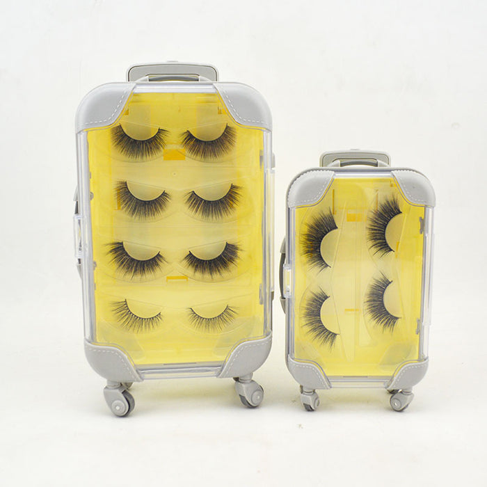 Wholesale Luggage Plastic Eyelashes Box Without Eyelashes MOQ≥3 JDC-JP-Xindong001