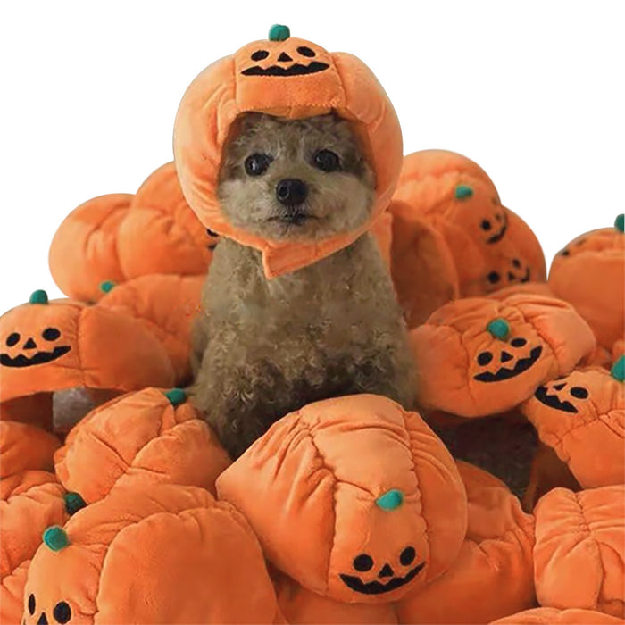 Wholesale Pet Decorations Plush Halloween Pumpkin Hat MOQ≥2 JDC-PD-Miaodi004