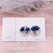 Jewelry WholesaleWholesale S925 Silver Needle Round Transparent Geometric Dried Flower Rose Earrings JDC-ES-XuanY007 Earrings 宣妍 %variant_option1% %variant_option2% %variant_option3%  Factory Price JoyasDeChina Joyas De China