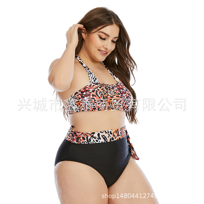 Wholesale plus size swimsuit split plus fertilizer plus swimsuit JDC-SW-XTai002