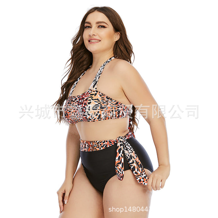 Wholesale plus size swimsuit split plus fertilizer plus swimsuit JDC-SW-XTai002