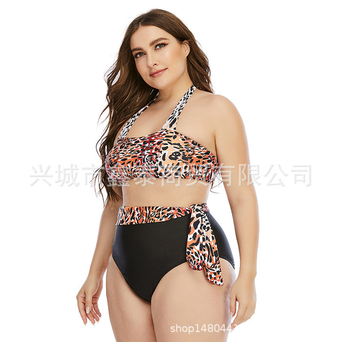 Wholesale plus size swimsuit split plus fertilizer plus swimsuit JDC-SW-XTai002