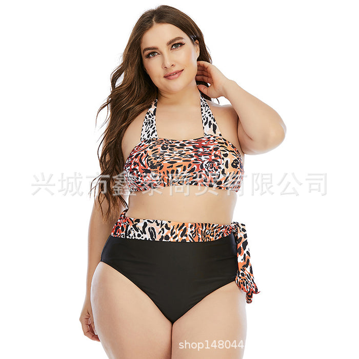 Wholesale plus size swimsuit split plus fertilizer plus swimsuit JDC-SW-XTai002