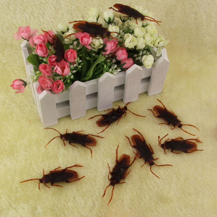 Jewelry WholesaleWholesale whole cockroach simulation cockroach toy random JDC-FT-ChaoS003 fidgets toy 潮速 %variant_option1% %variant_option2% %variant_option3%  Factory Price JoyasDeChina Joyas De China