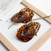 Jewelry WholesaleWholesale Acrylic Resin Leopard Print Alloy Earrings JDC-ES-XC344 Earrings 夏晨 %variant_option1% %variant_option2% %variant_option3%  Factory Price JoyasDeChina Joyas De China